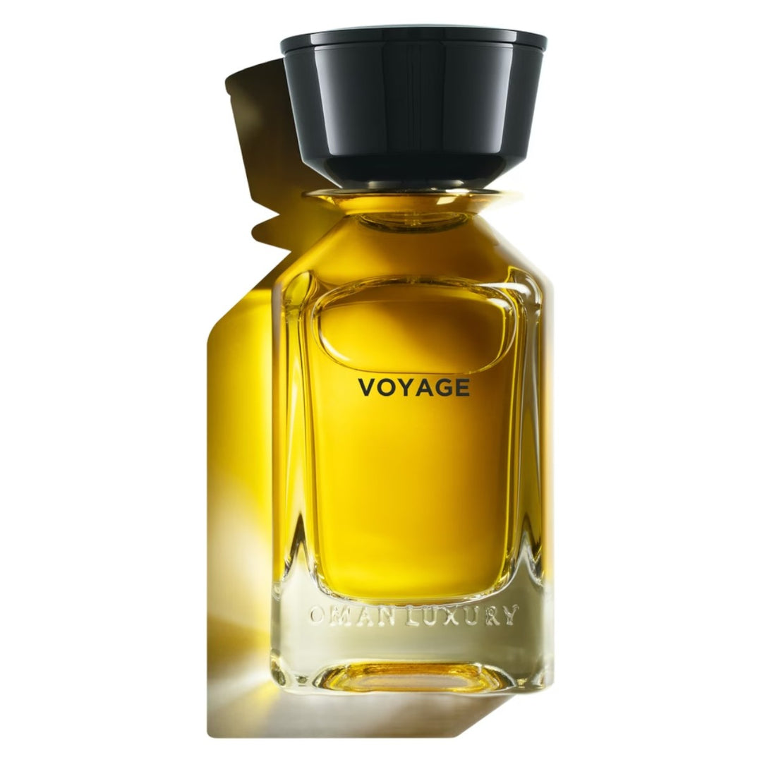 Voyage